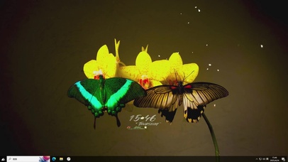 蝶恋花