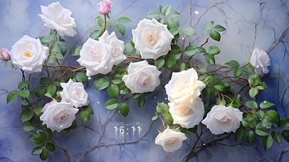 唯美治愈蔷薇花	