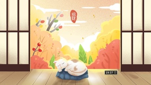 4K 招运招财的猫咪