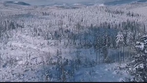 雪