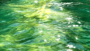 静谧湖水～绿波荡漾