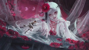 红花菊