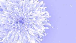 克莱因的花
