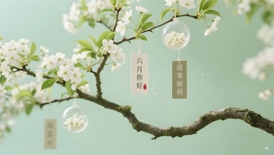六月你好
