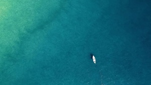 海上扁舟,孤鸟盘桓(风景动态壁纸) - 动态壁纸下载 - 元气壁纸