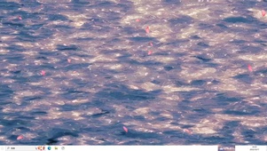 波浪海  主题