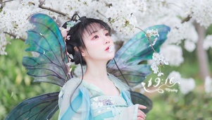 4k古风蝴蝶仙女