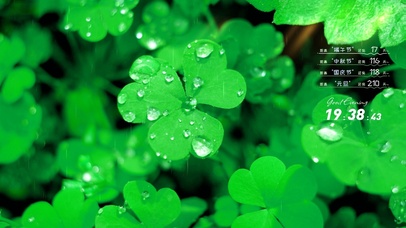 绿色护眼三叶草