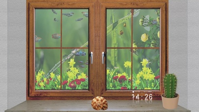 4k护眼窗外水族箱