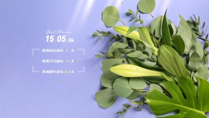 小清新绿植桌面