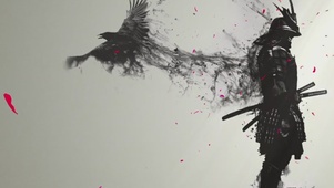 黑武士