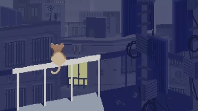 会变成美少女的猫