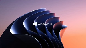 win11壁纸