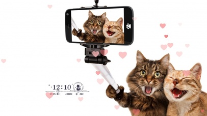 恩爱の猫咪 点赞关注必好运连连