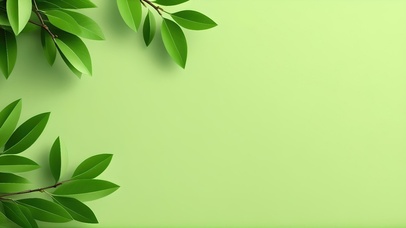 唯美飘动的树叶