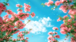 蓝天花花
