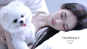 美女与博美