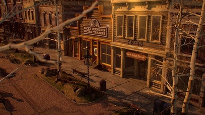 秋季的落叶与街道