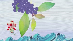 海上葡萄