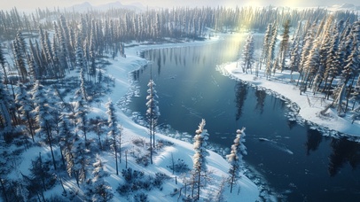 冬季冰雪针树林