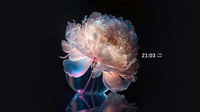 护眼治愈 4k水晶牡丹