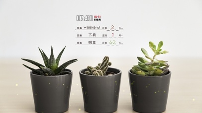 简约小清新盆栽电脑壁纸