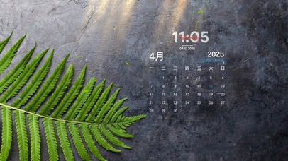 简约系绿植壁纸