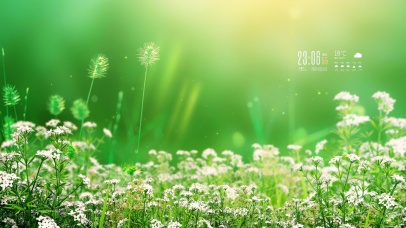 4k 治愈清新春天青花草