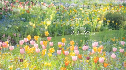 4K唯美の春日花海