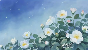 白芍的萤火之约