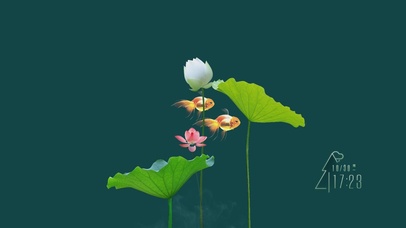 荷花 金鱼4K动态壁纸