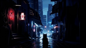 夜之城的黑猫