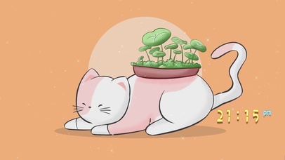 唯美可爱呆萌猫