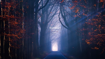 4K唯美治愈枫叶森林小径