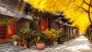 秋天胡同小巷
