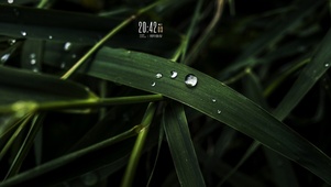 水珠