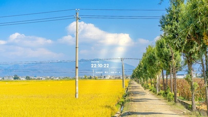 4K 唯美治愈田间小路