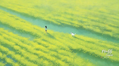 油菜花田遛狗的女孩