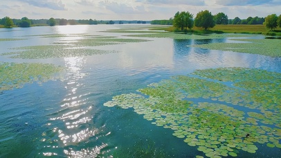 波光粼粼的湖面