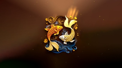 4K  太极锦鲤  黄锦鲤