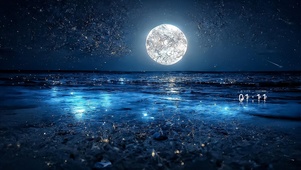 再见陌路 星辰海