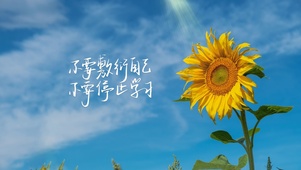 不要敷衍自己～不要停止学习