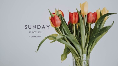 4k高清唯美花系列