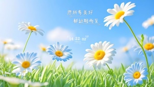 小清新鲜花