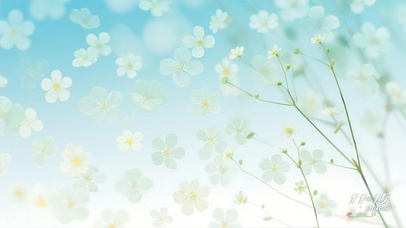 繁花虽灿唯悦独一无二的你