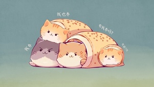 卷卷喵