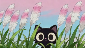 调皮可爱小黑猫