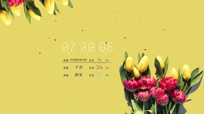 小清新护眼郁金香壁纸