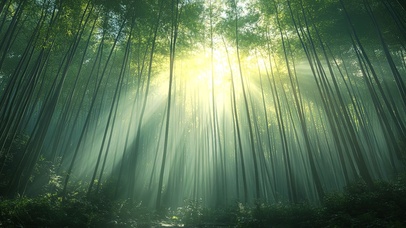 禅意绿色清新竹林光影