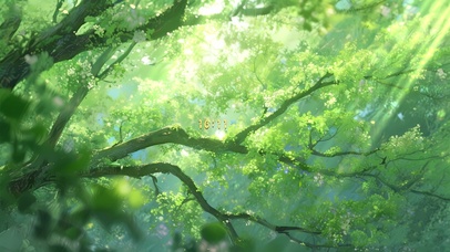 树与光 护眼治愈